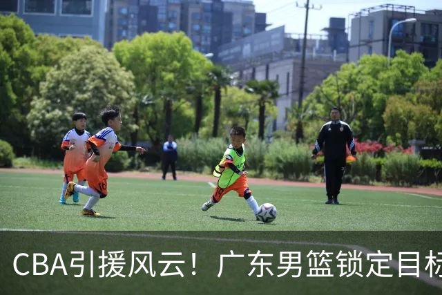 CBA引援风云！广东男篮锁定目标，杜锋心仪已久需花重金